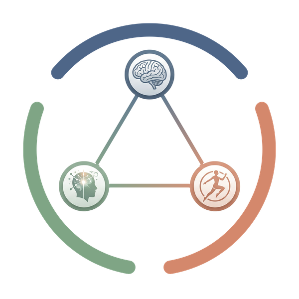 The Body Mind Medical triangle linking brain, mind and body